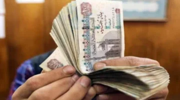 موعد صرف مرتبات ديسمبر 2025 للعاملين في القطاعين الخاص والعام حسب قرار وزارة المالية